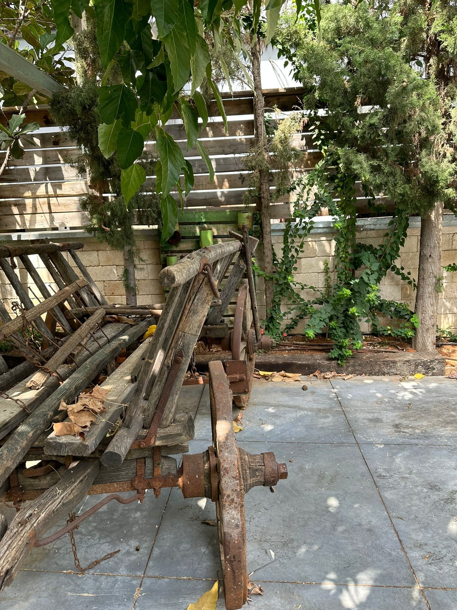 IMG-20250827-WA0015